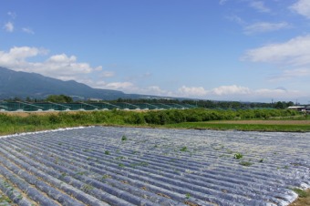 （写真8）右が富士山、左が八ヶ岳。別荘地が外国資本による発電所に変わった